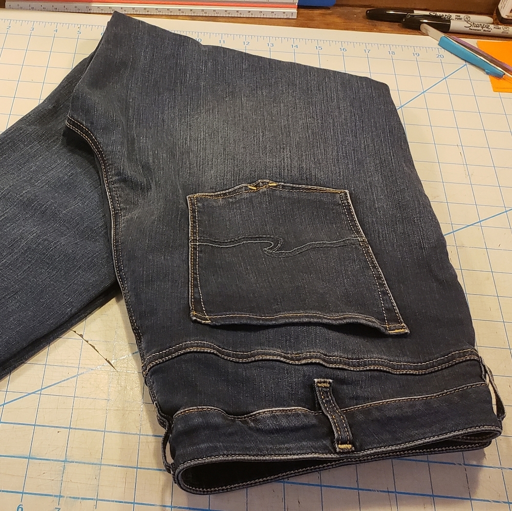 Silver Bleecker Skinny Plus Jean